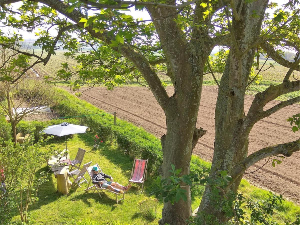 La Grange Aux Lievres, Gites Kerdoel Cléder Exteriör bild